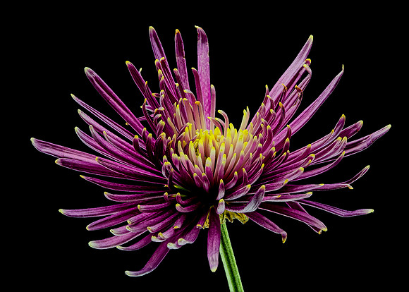 MACRO 8-30-26 (2)