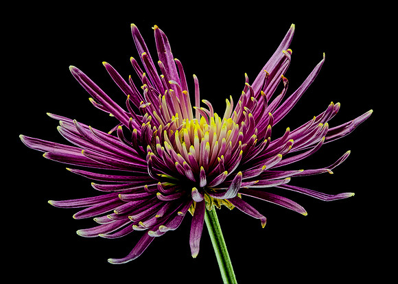 MACRO 8-30-26 (5)
