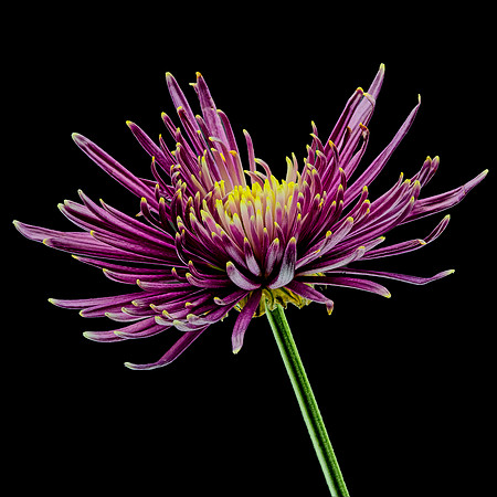 MACRO 8-30-26 (7)