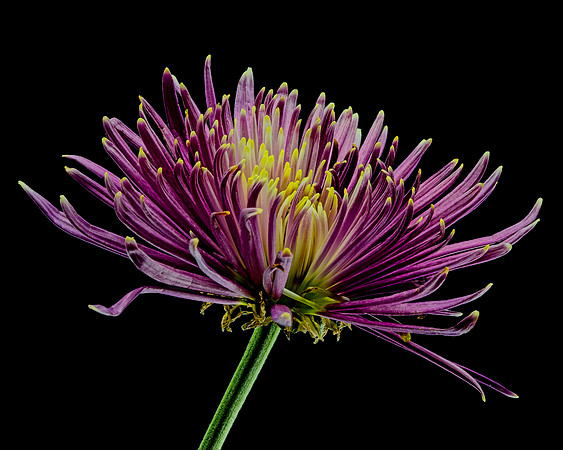 MACRO 8-30-26 (8)