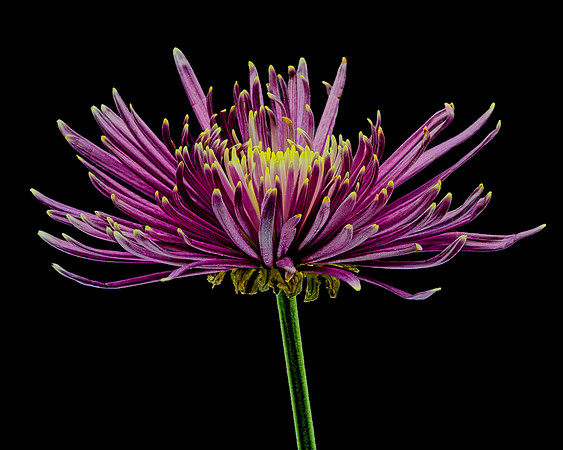 MACRO 8-30-26 (11)