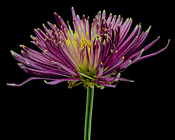 MACRO 8-30-26 (10)