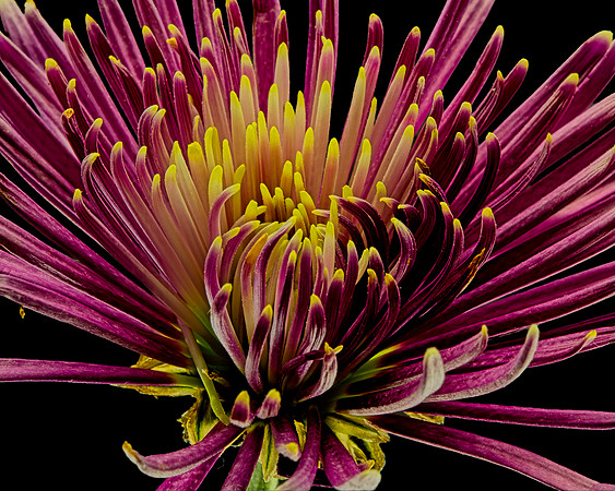 MACRO 8-30-26 (14)
