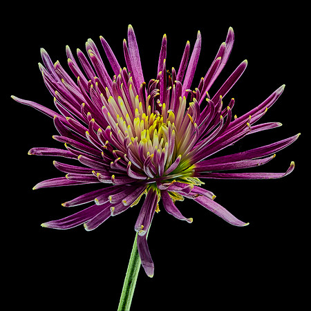 MACRO 8-30-26 (12)