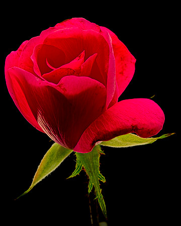MACRO 9-12-26 (12)