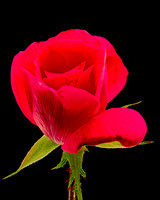 MACRO 9-12-26 (4)