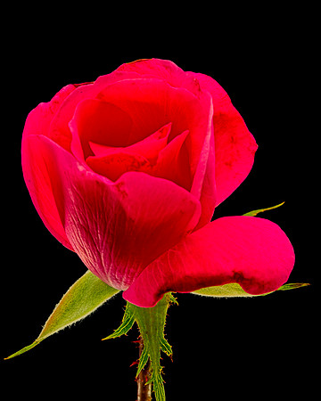 MACRO 9-12-26 (4)
