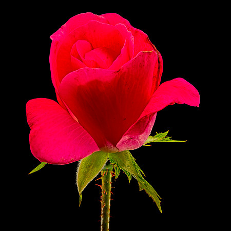 MACRO 9-12-26 (5)