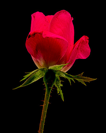 MACRO 9-12-26 (8)
