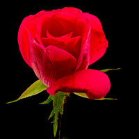 MACRO 9-12-26 (7)