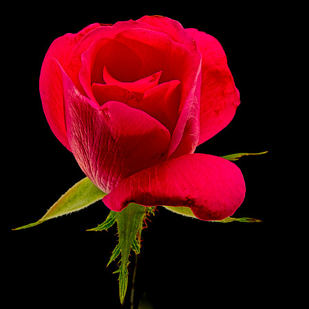 MACRO 9-12-26 (7)