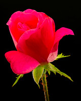 MACRO 9-12-26 (1)