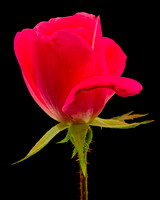 MACRO 9-12-26 (3)
