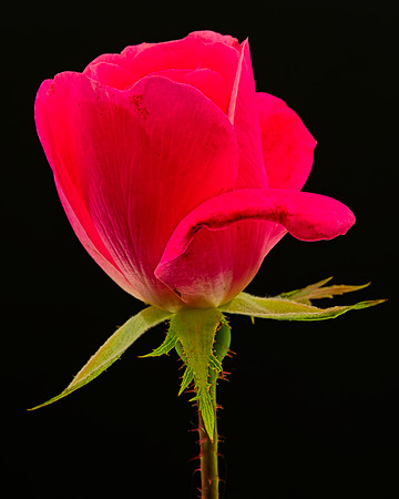 MACRO 9-12-26 (3)
