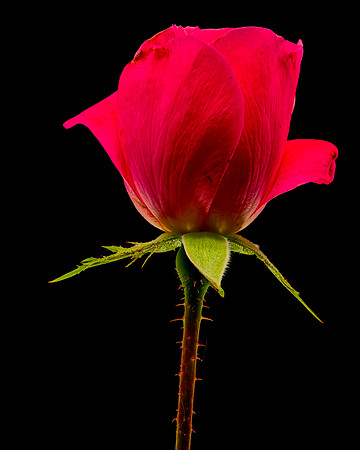 MACRO 9-12-26 (9)