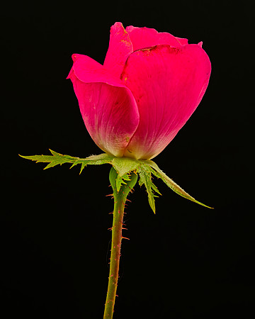 MACRO 9-12-26 (2)