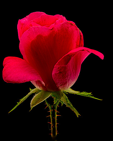 MACRO 9-12-26 (10)