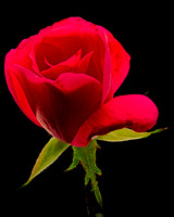 MACRO 9-12-26 (12)