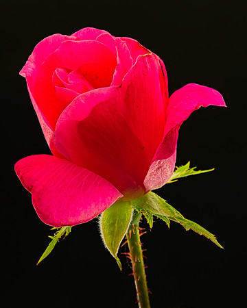 MACRO 9-12-26 (1)