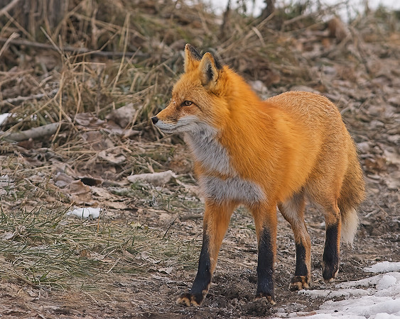 _DSC5884