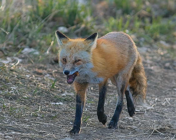 DSC05975
