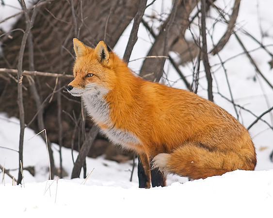 _DSC5769