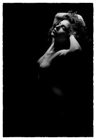 FAN-Bella Rose-BW-03272-3