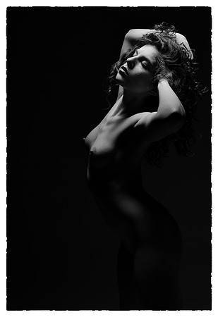 FAN-Bella Rose-BW-03272-3