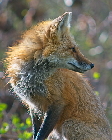 DSC04981_Export