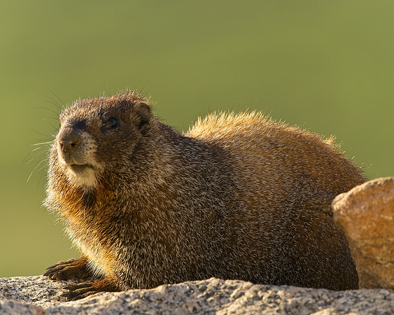 MT EVANS 7-4 (16)