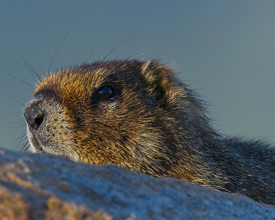 Mt Evans 7-30 (30)