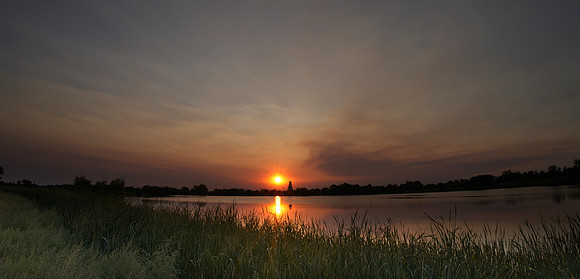 _DSC5035