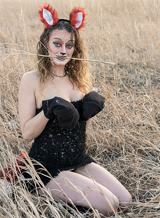 Vixen-08439