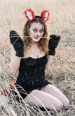 Vixen-08440