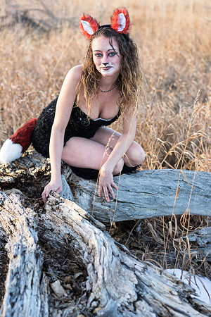 Vixen-08366