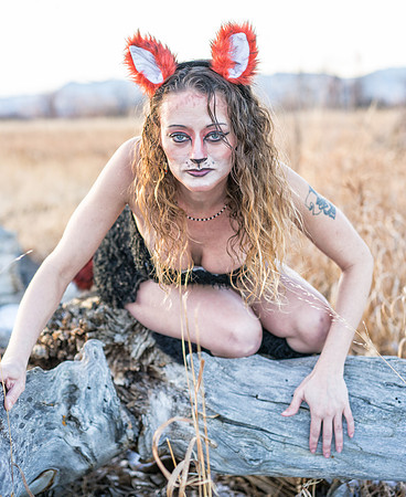 Vixen-08370