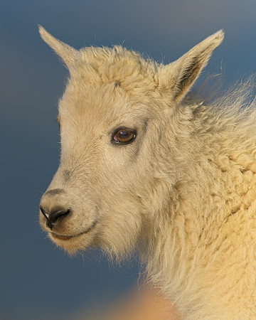 Mt Evans 7-30 (108)