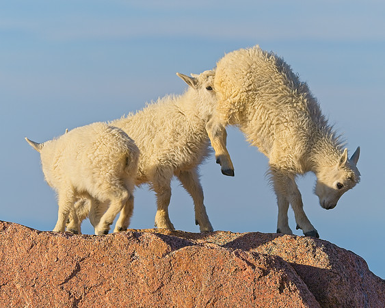 Mt Evans 7-30 (233)