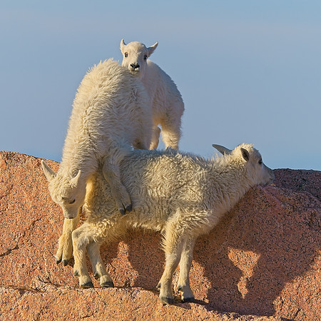 Mt Evans 7-30 (291)