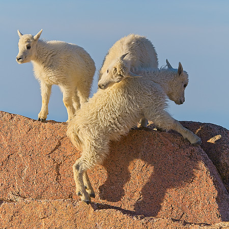 Mt Evans 7-30 (279)