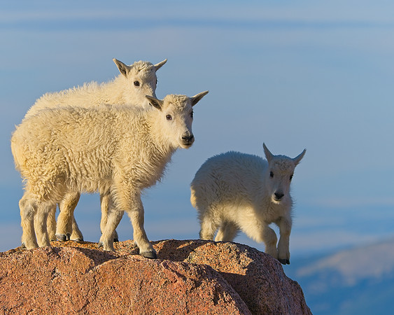 Mt Evans 7-30 (323)