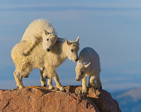 Mt Evans 7-30 (326)