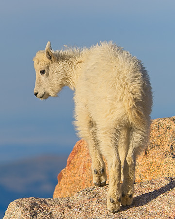 Mt Evans 7-30 (348)