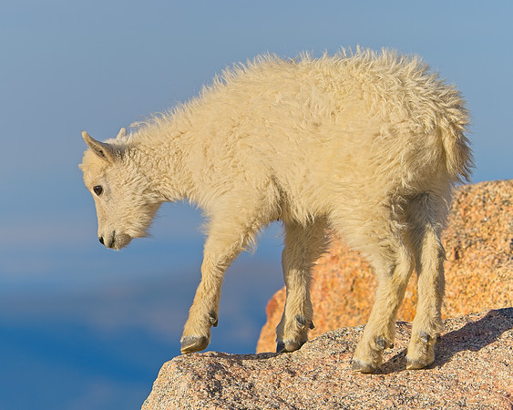 Mt Evans 7-30 (363)