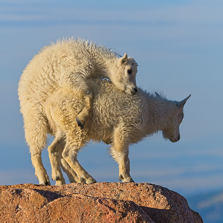 Mt Evans 7-30 (392)
