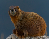 Mt Evans 8-21 (24)