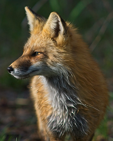 DSC04838_Export