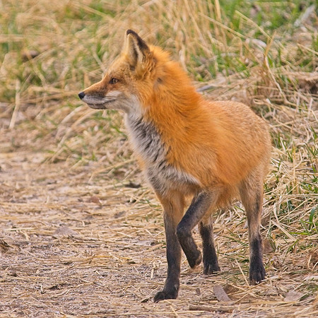 DSC03390_Export