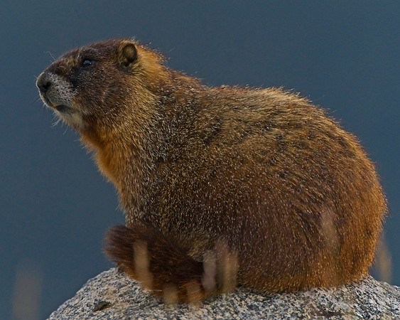 Mt Evans 8-21 (9)