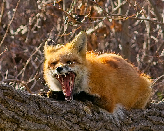 DSC04055_Export